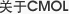 关于CMOL