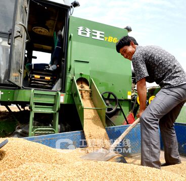 图为亳州农户喜获丰收，谷王TB60小麦机收获干净深受机手喜爱