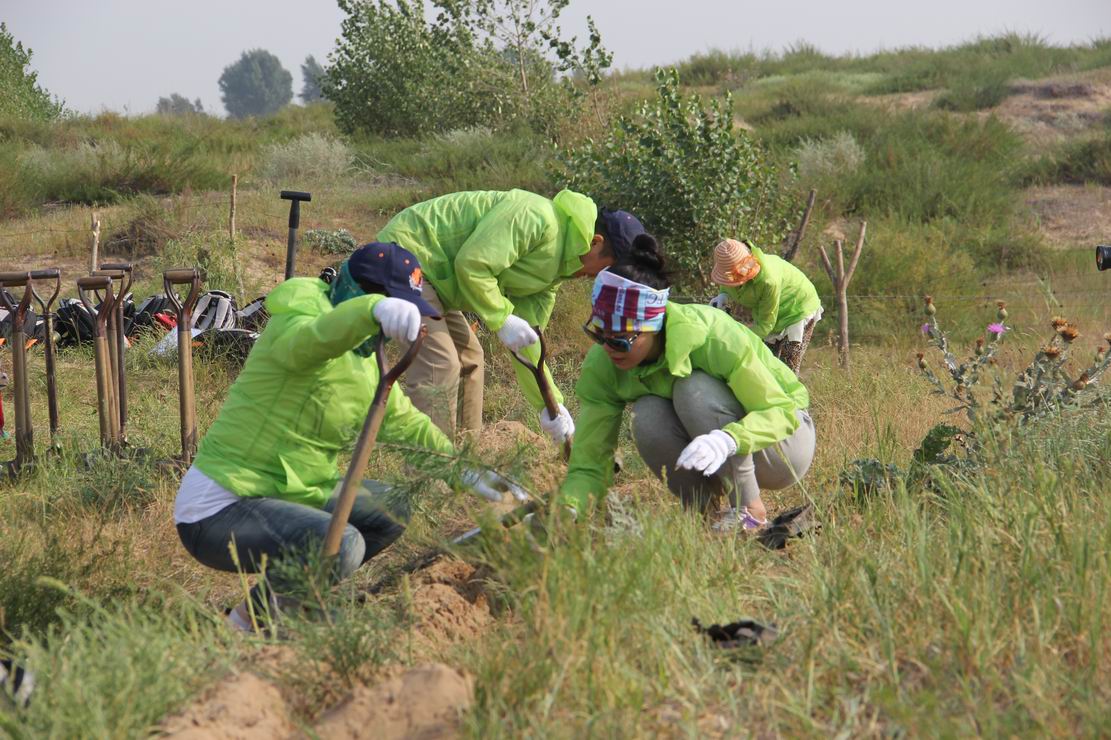 日立建机公益林新十年计划启动及志愿者植树活动图集